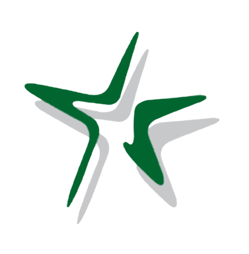 Star Survey Institute